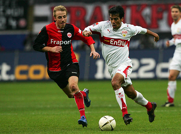 来或许会离 来或许会离